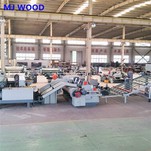 Kernefiner peeling maskine